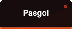 Pasgol logosu